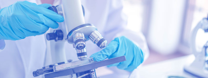 Medical test under the Microscope