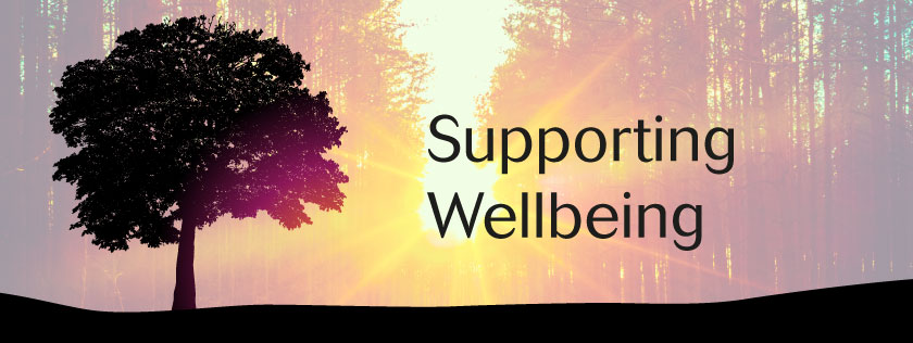 Sun coming through trees with text Supporting Wellbeing