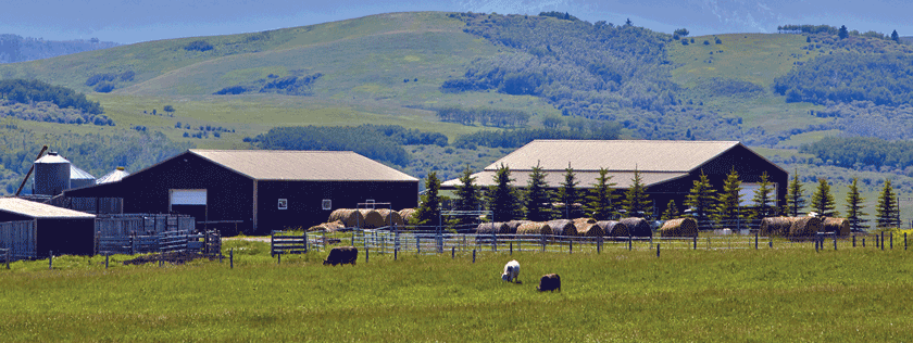 Farmyard and fields