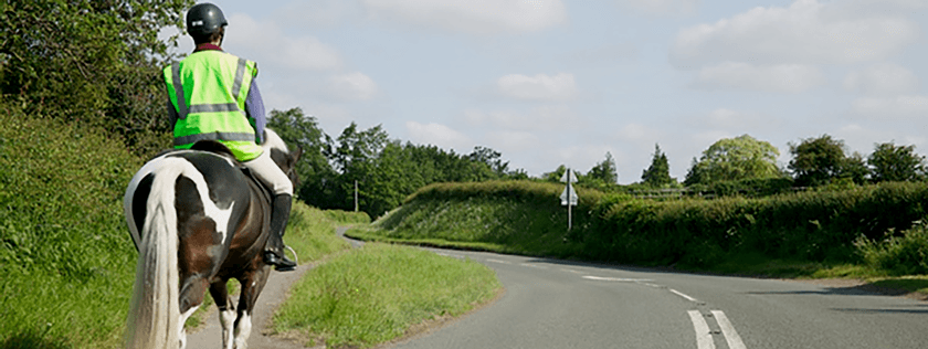 Horse riding on the road