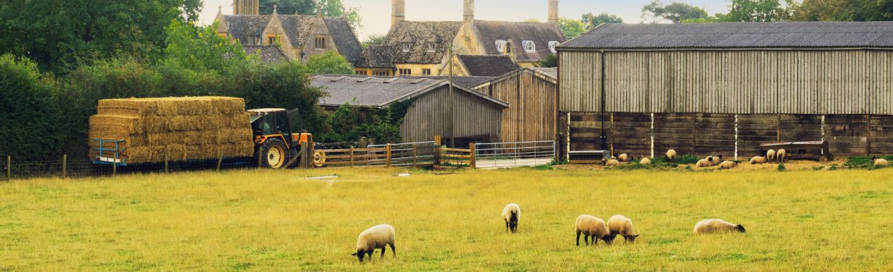 Farmyard and fields