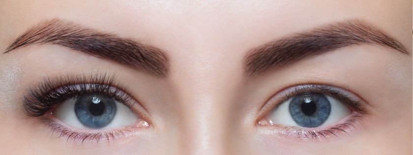 Woman's eyes and eyebrows