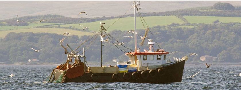 Fishing boat at sea