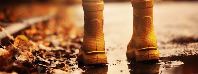 Child walking through Autumn leaves