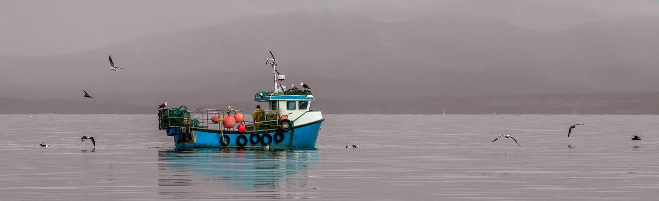 Fishing boat at sea