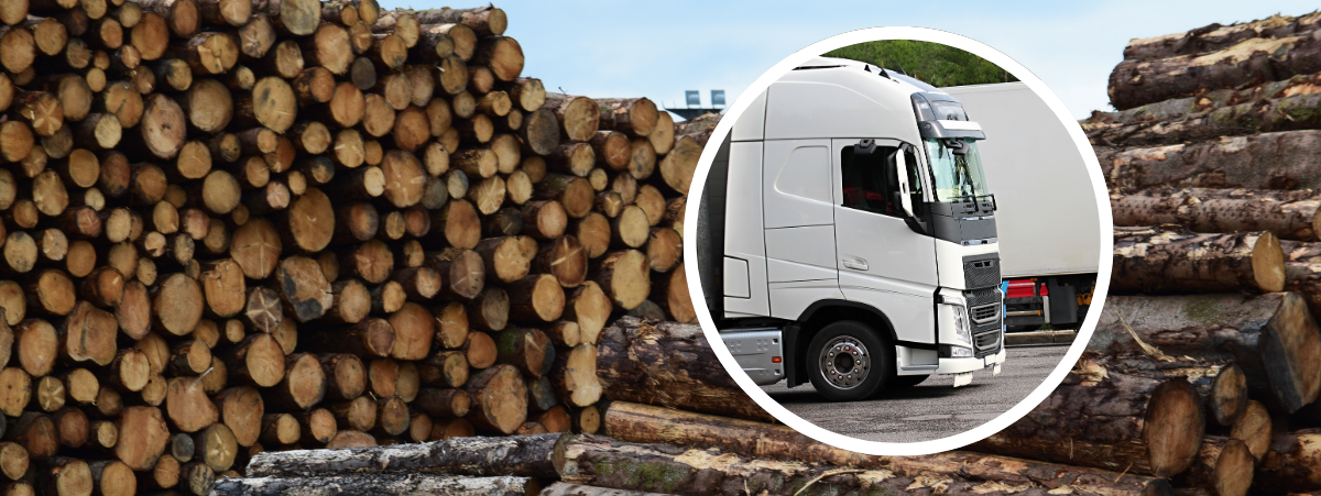 Scott Sloan Timber Yard