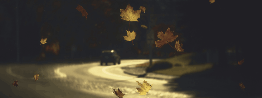 Driving in the Autumn