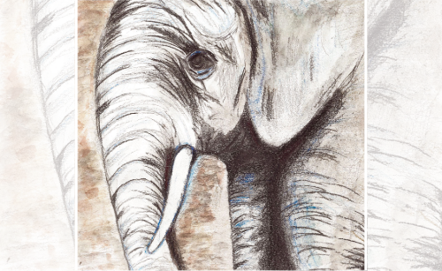 May artwork for 2026 calendar