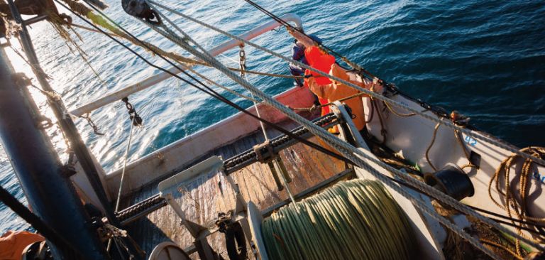 Onboard fishing boat at sea