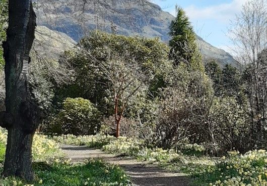 A woodland walk through Stirling University Campus