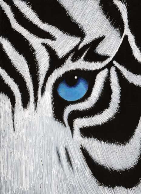 Calendar winner Feb 2022 showing close up of animal with blue eye