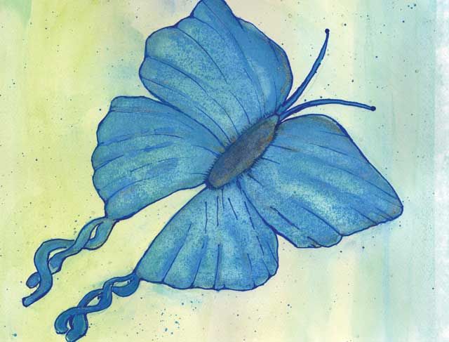 Calendar winner March 2022 showing blue butterfly 