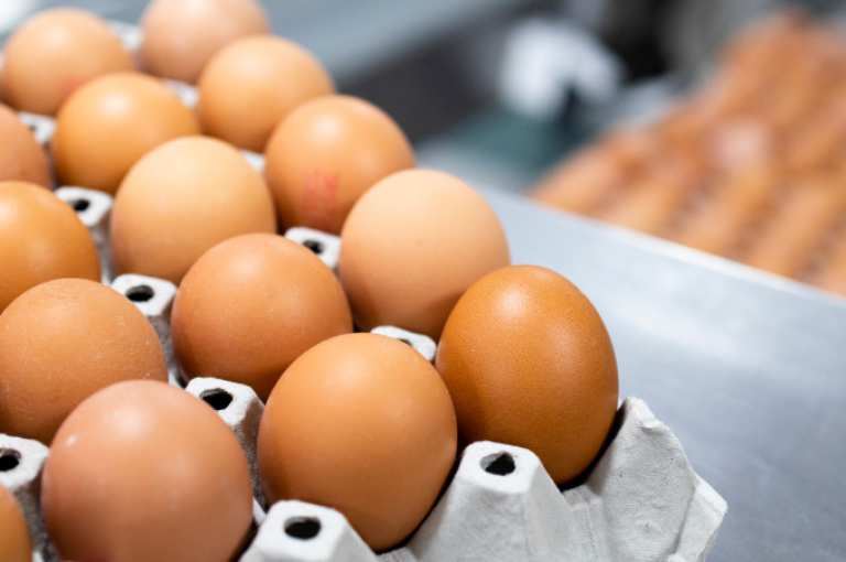 Eggs in cardboard cartons