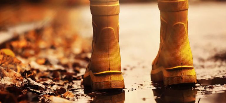 Child walking through Autumn leaves