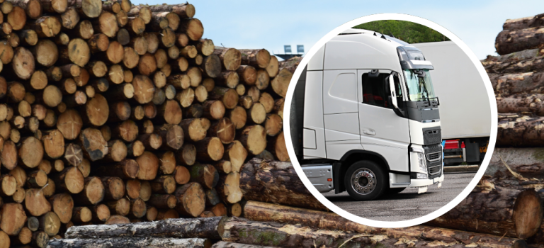 Scott Sloan Timber Yard