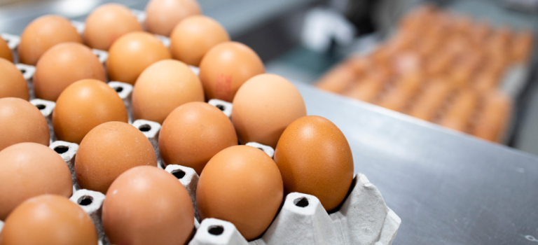 Eggs in cardboard cartons