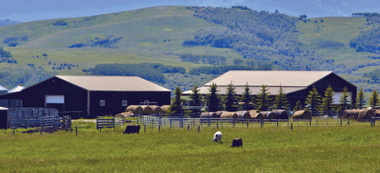 Farmyard and fields